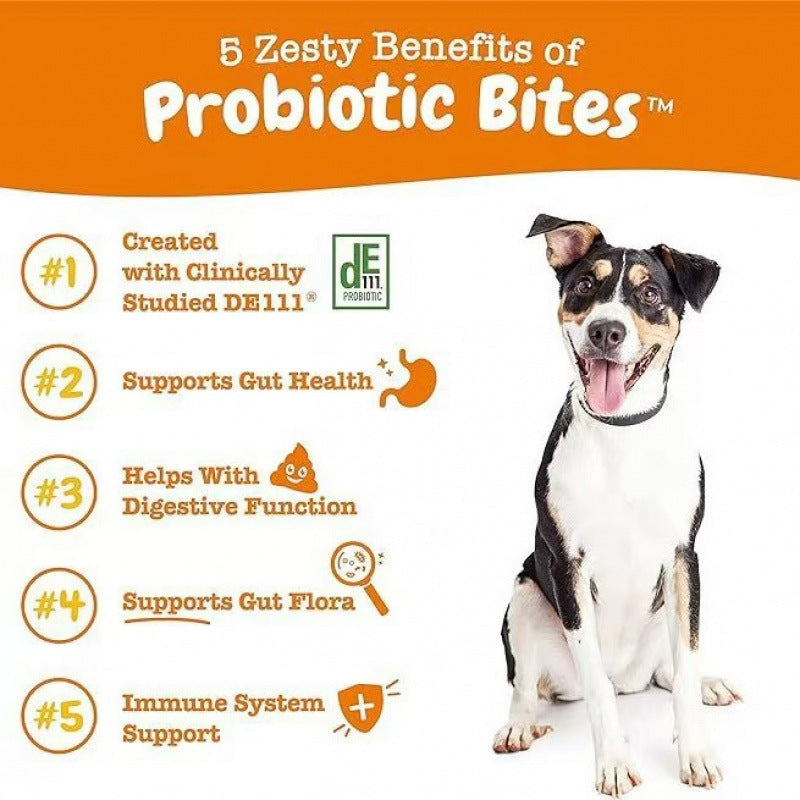 Probiotic Chewable Tablets for Dogs & Cats – 315g Digestive Health Supplement
