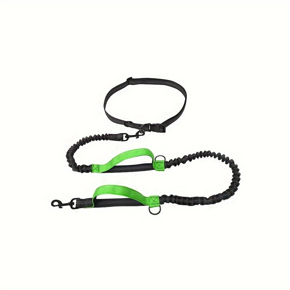 Hands-Free Dog Leash – Run, Walk & Train Comfortably | Adjustable Waist Belt, Durable Nylon