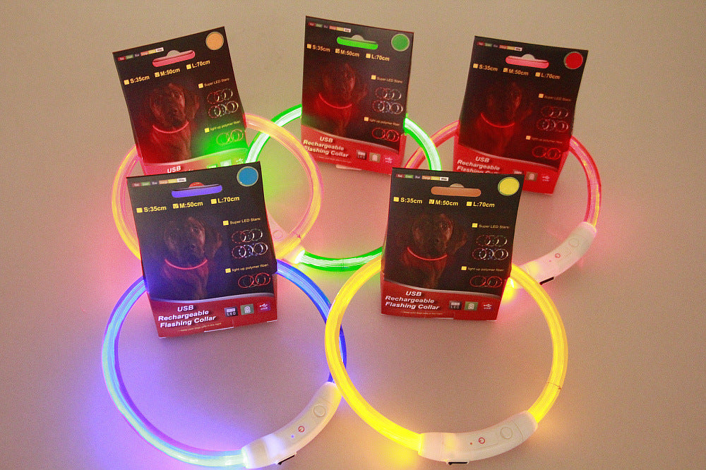Light-Up Dog Collar – USB Charging, Neon Glow Safety for Night Walking