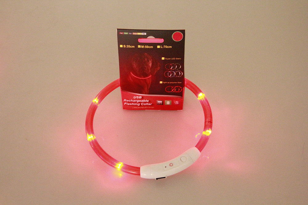 Light-Up Dog Collar – USB Charging, Neon Glow Safety for Night Walking