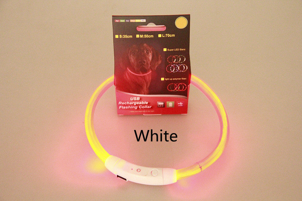 Light-Up Dog Collar – USB Charging, Neon Glow Safety for Night Walking