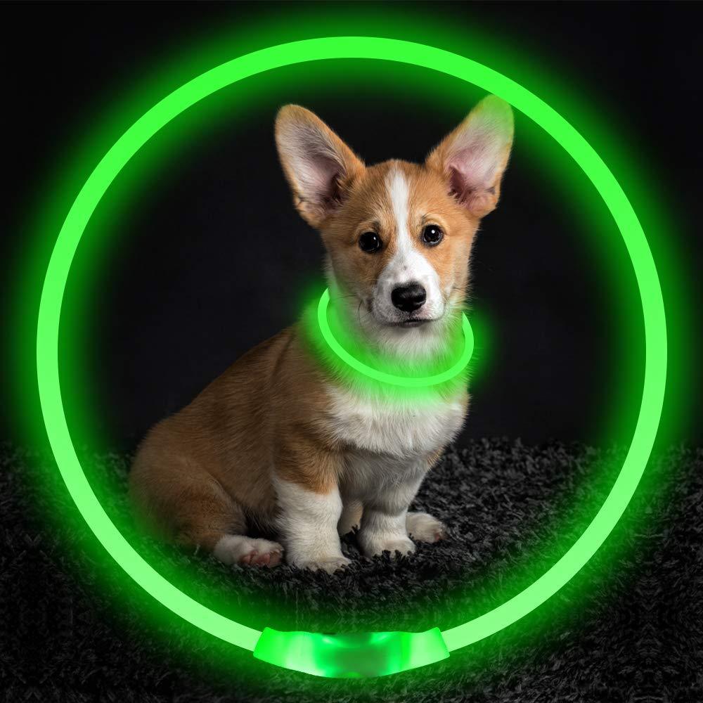 Light-Up Dog Collar – USB Charging, Neon Glow Safety for Night Walking