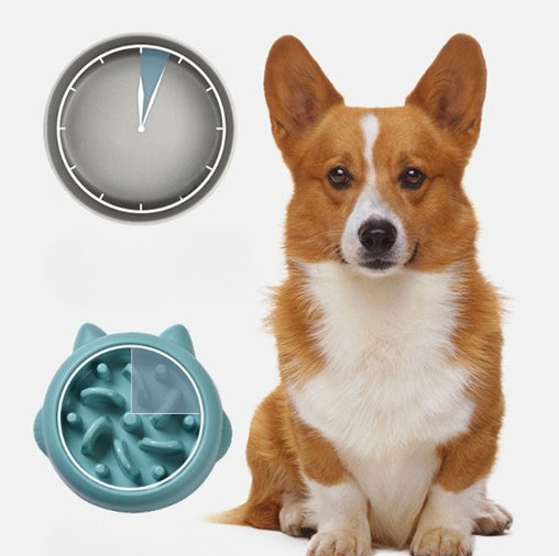 Pet Slow Feeder Bowl – Healthy Eating Solution for Dogs