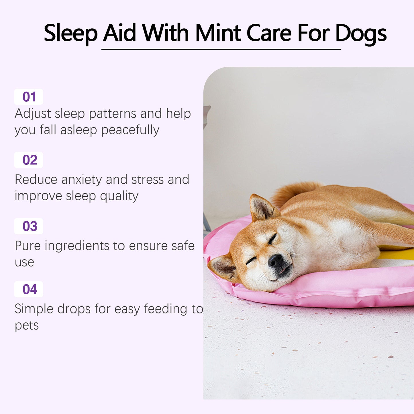 Dog Sleep Drops – Natural Calming Support for Restful Nights