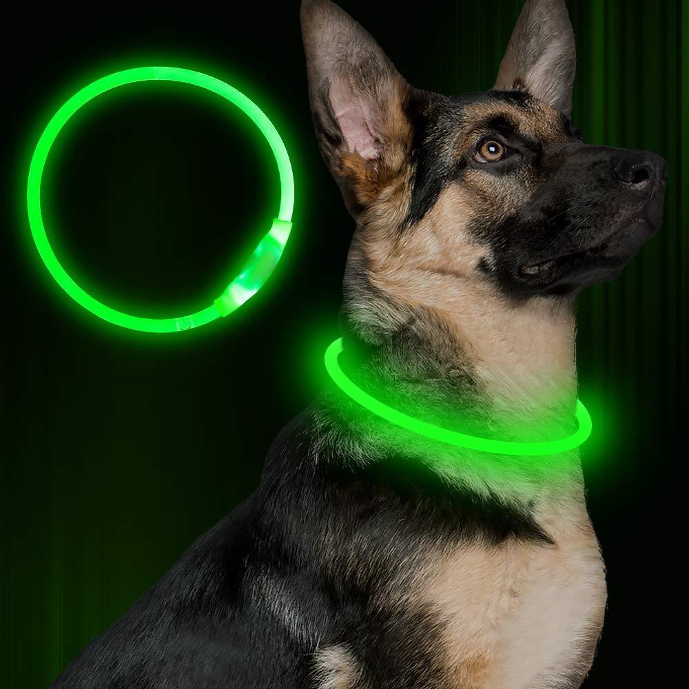 Light-Up Dog Collar – USB Charging, Neon Glow Safety for Night Walking