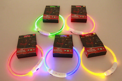 Light-Up Dog Collar – USB Charging, Neon Glow Safety for Night Walking