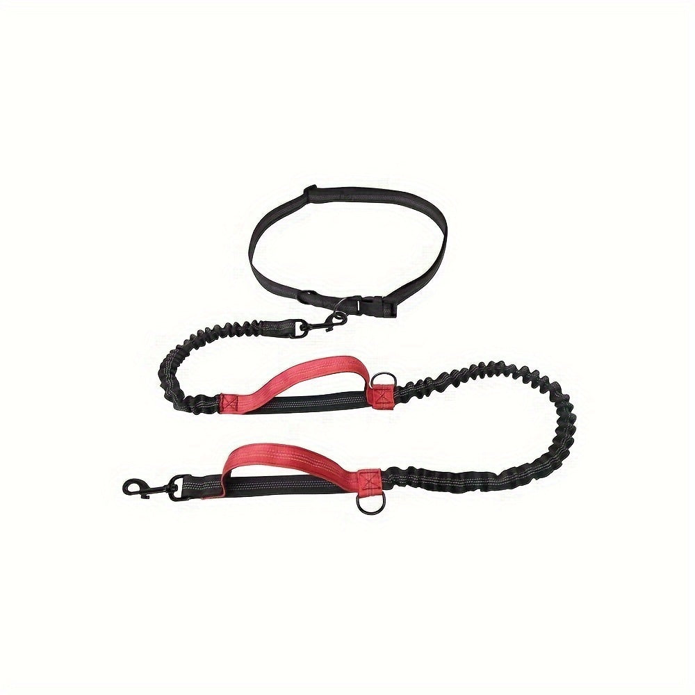 Hands-Free Dog Leash – Run, Walk & Train Comfortably | Adjustable Waist Belt, Durable Nylon
