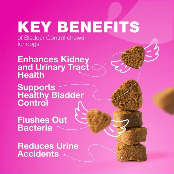 Dog Cranberry Supplement – Natural UTI & Bladder Support for Kidney Health