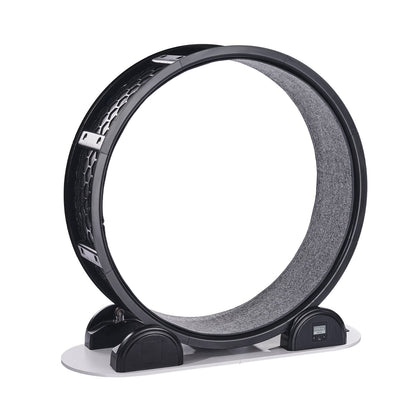 Cat Exercise Wheel with Pedometer – Indoor Treadmill for Healthy & Active Cats