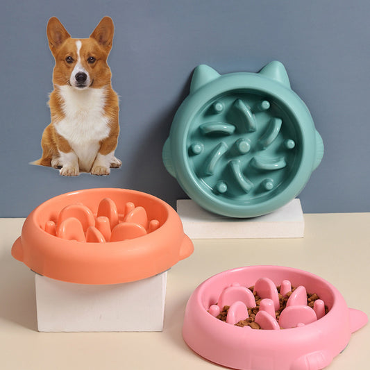 Pet Slow Feeder Bowl – Healthy Eating Solution for Dogs
