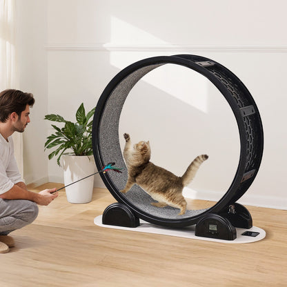Cat Exercise Wheel with Pedometer – Indoor Treadmill for Healthy & Active Cats