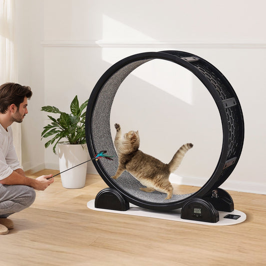 Cat Exercise Wheel with Pedometer – Indoor Treadmill for Healthy & Active Cats
