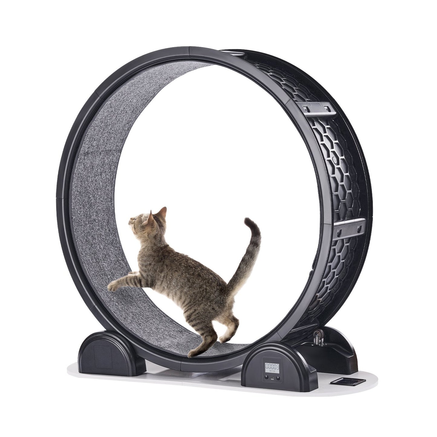 Cat Exercise Wheel with Pedometer – Indoor Treadmill for Healthy & Active Cats