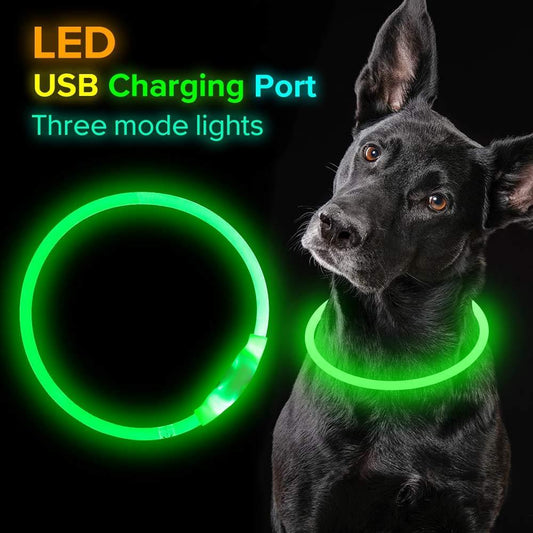 Light-Up Dog Collar – USB Charging, Neon Glow Safety for Night Walking